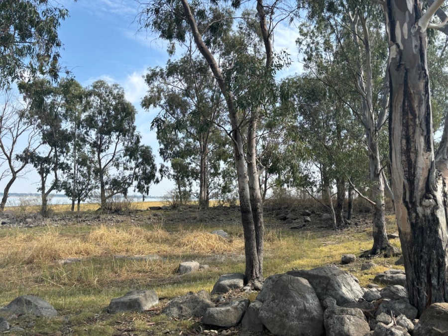 0 Bedroom Property for Sale in Oranjeville Free State